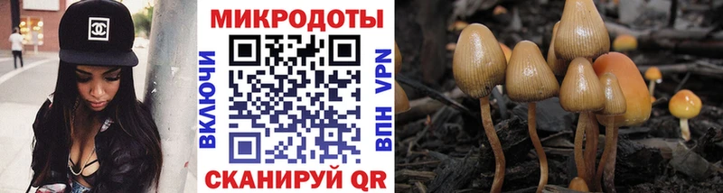 Псилоцибиновые грибы Magic Shrooms  Купить где  Кондопога 
