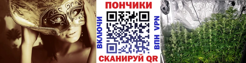 Каннабис конопля Кондопога